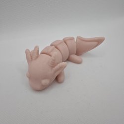 Axolotl 