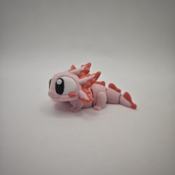 Axolotl