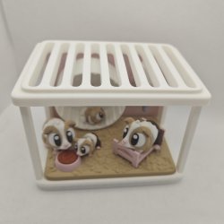 Hamsterbur med hamsterfamilie