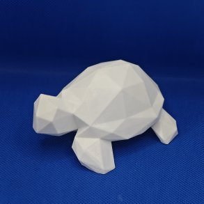 Geometrisk skildpadde