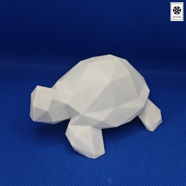 Geometrisk skildpadde