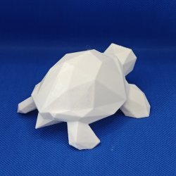 Geometrisk skildpadde