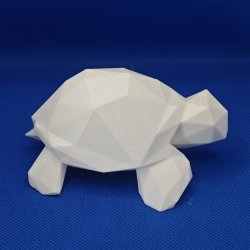 Geometrisk skildpadde