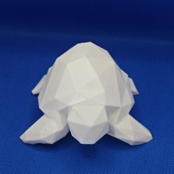 Geometrisk skildpadde